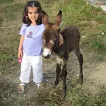 Il Casale مزرعة للإقامة Morrovalle