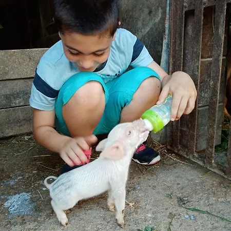 Il Casale Farm stay