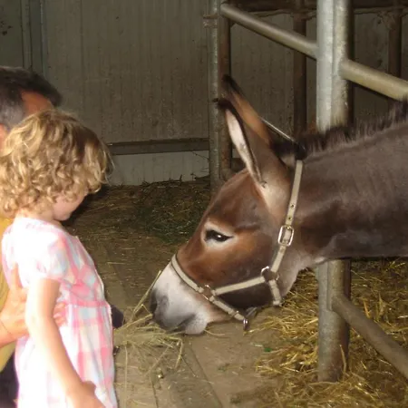 Il Casale Farm stay