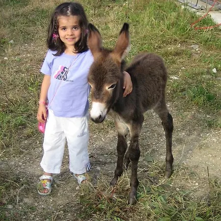 Il Casale Çiftlik konaklama Morrovalle